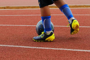 爱游戏娱乐网址-意甲年轻球员防守意识发展趋势研究，意甲年轻后卫