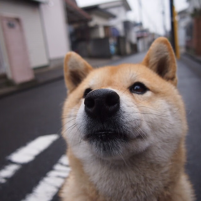 球迷狂欢：现场氛围火爆，激烈赛事不断，球迷狂欢节