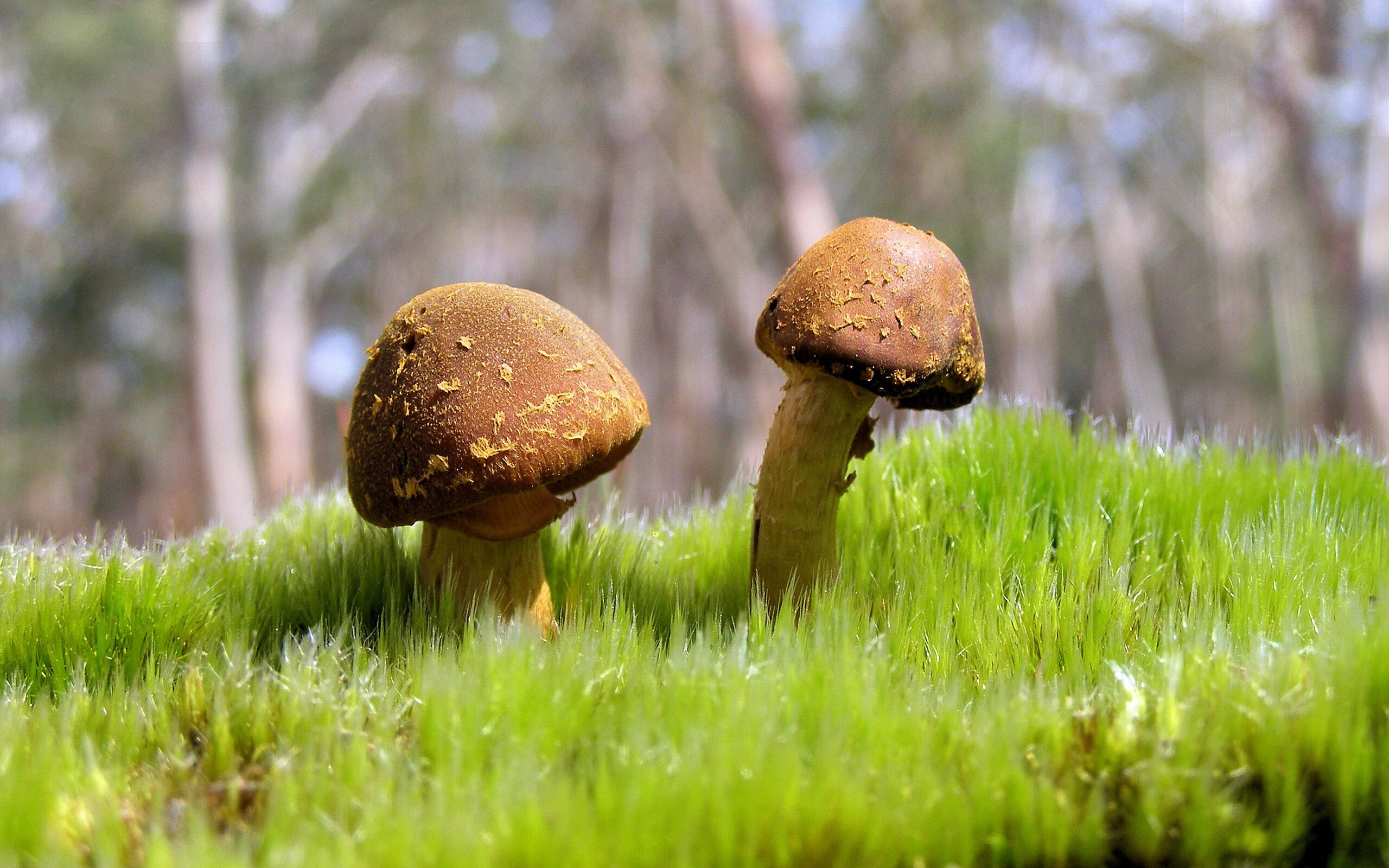 运动员训练方法创新计划,运动员的训练计划