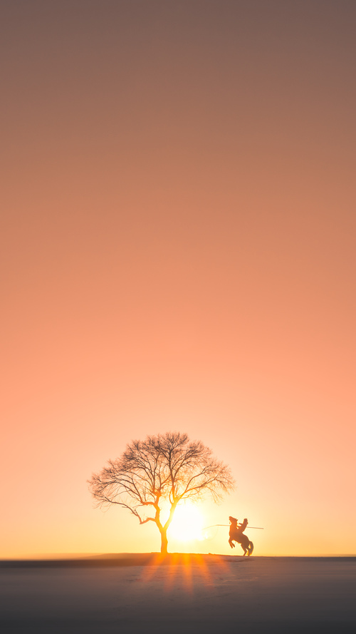 Chinese Taipei战术揭秘:从防守到反击的完美转化,chinese of taipei