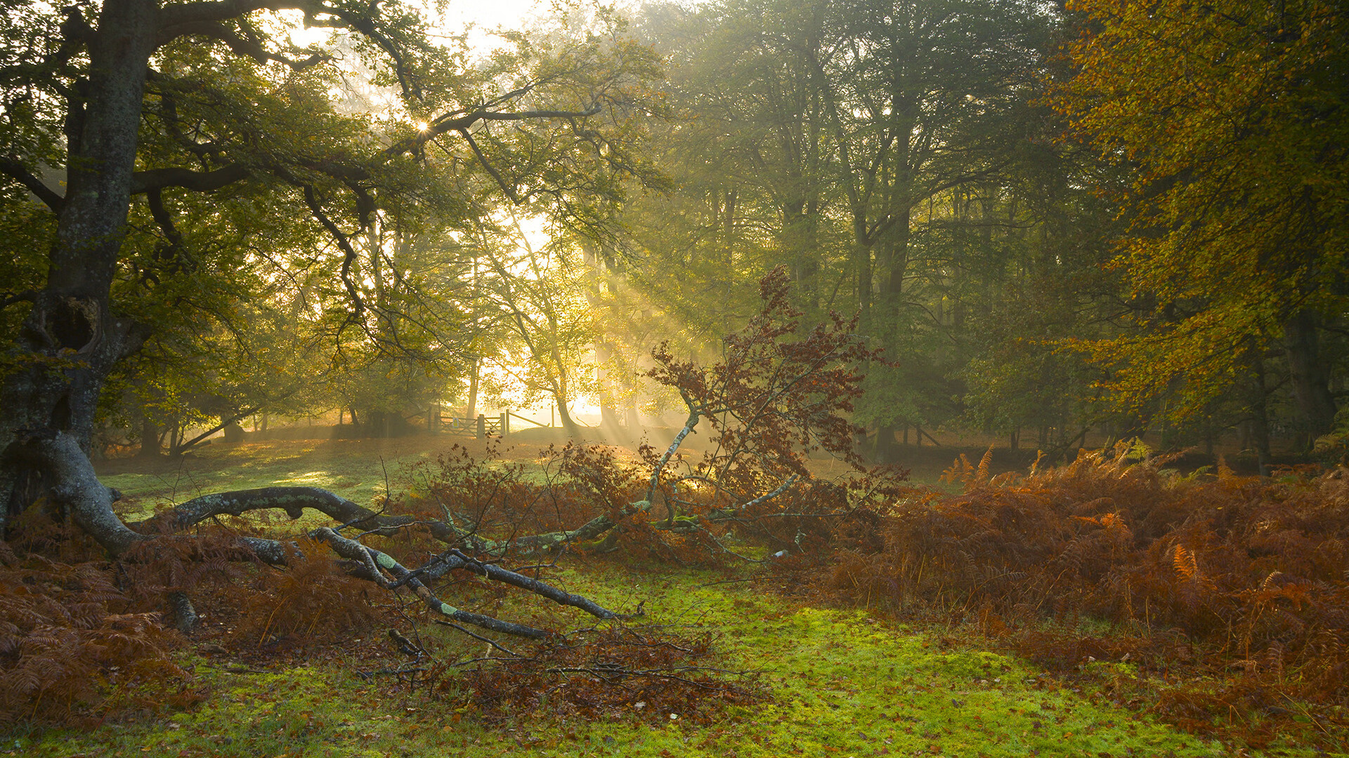 主帅换人反超时机把握对球队士气的即时影响，主帅更迭、失去最佳拍档