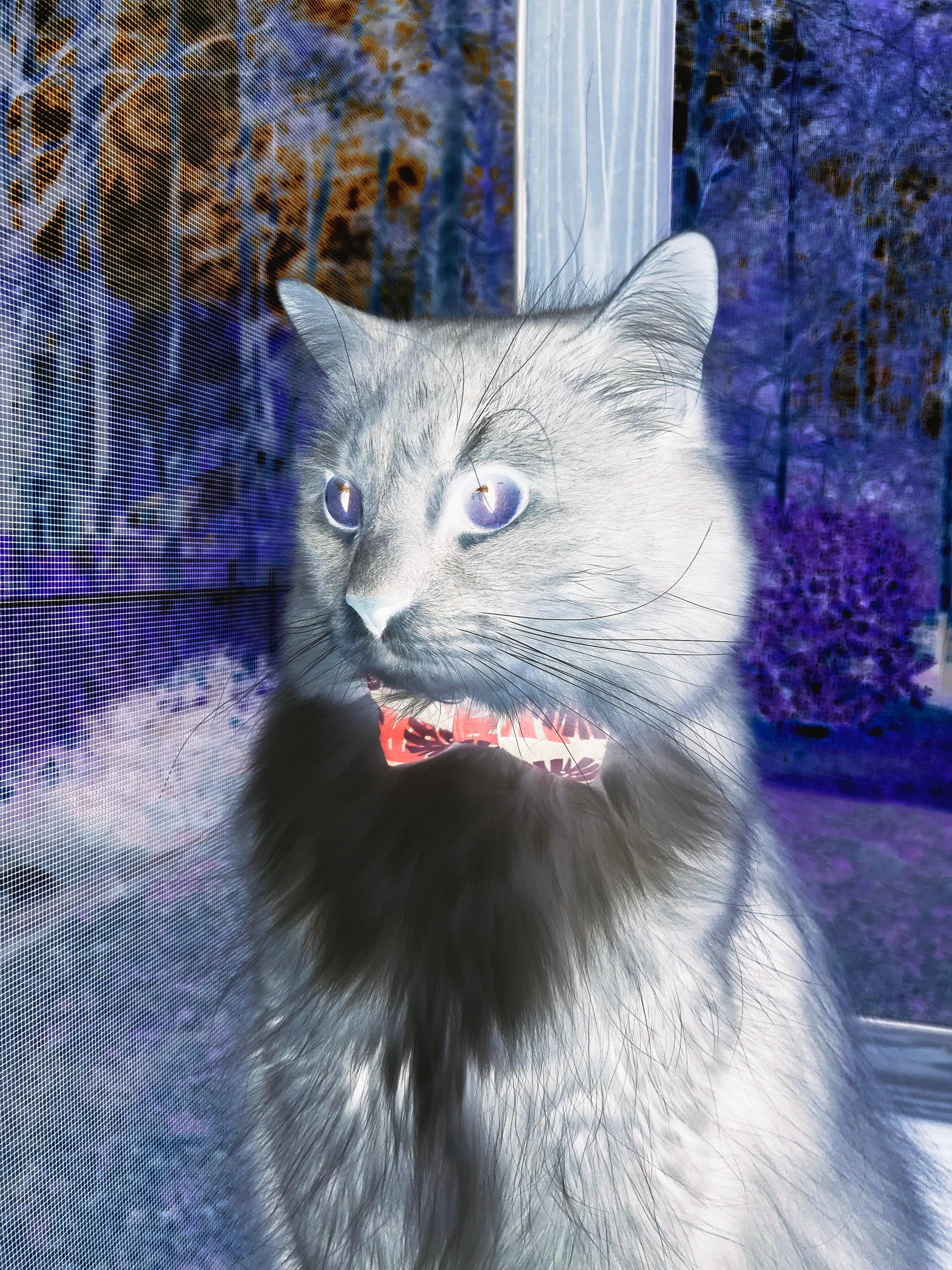 教练团队协作优化战术执行,教练技术团队守则