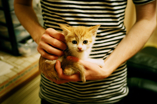 AYX GAMING-水上比拼+湖畔市集，赛事之外更精彩