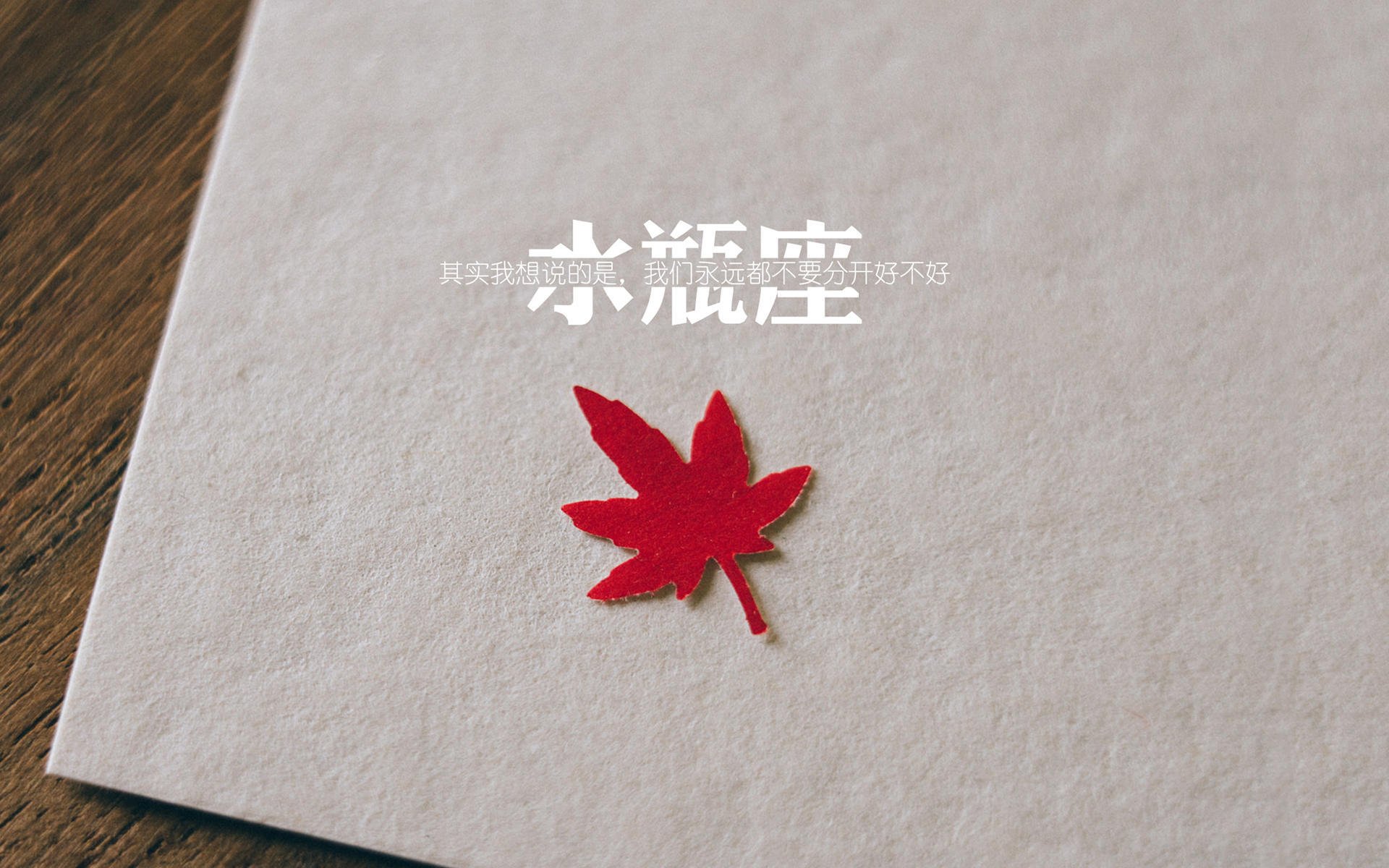 水上比拼+湖畔市集，赛事之外更精彩