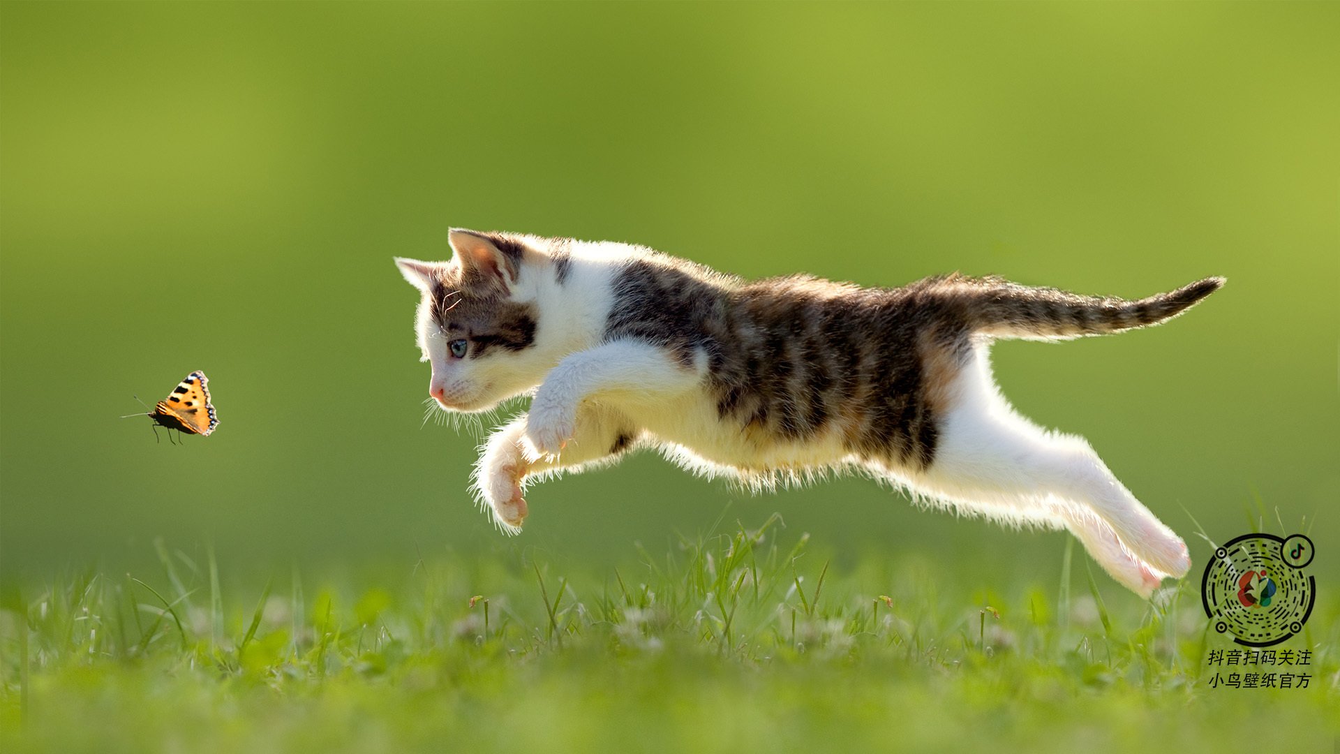 AYX体育官网-球队计划重塑边路体系，提升转换速度，足球边路进攻的阵型