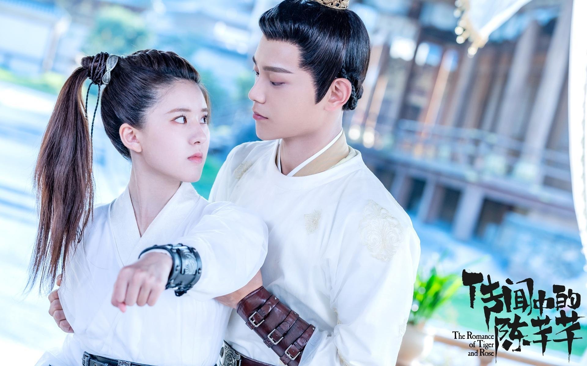 赛事数据揭示团队配合默契度，赛事数据揭示团队配合默契度的方法