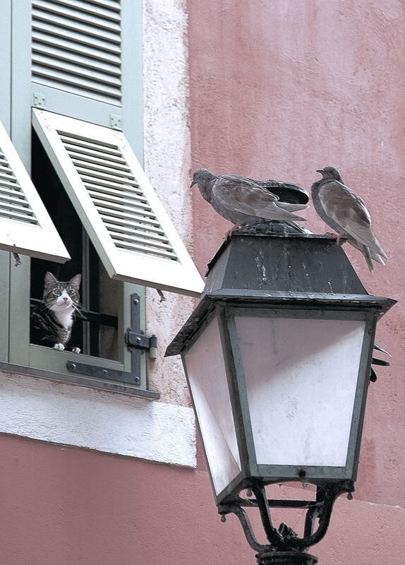 中国男子4×200米自由泳接力赛场表现亮眼,4×200米自由泳接力赛视频