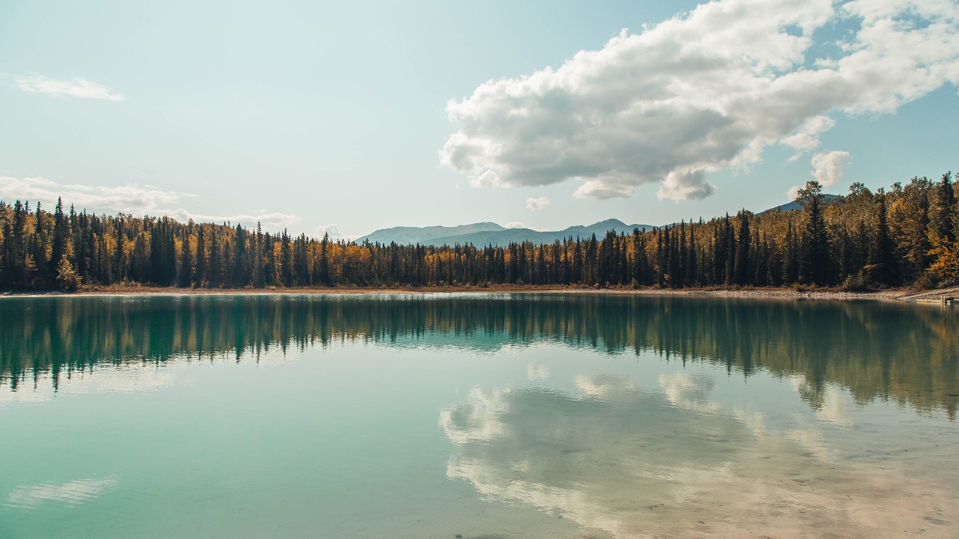 希腊女篮在欧洲锦标赛中再夺冠军，传统强队精神永驻，希腊女子篮球队