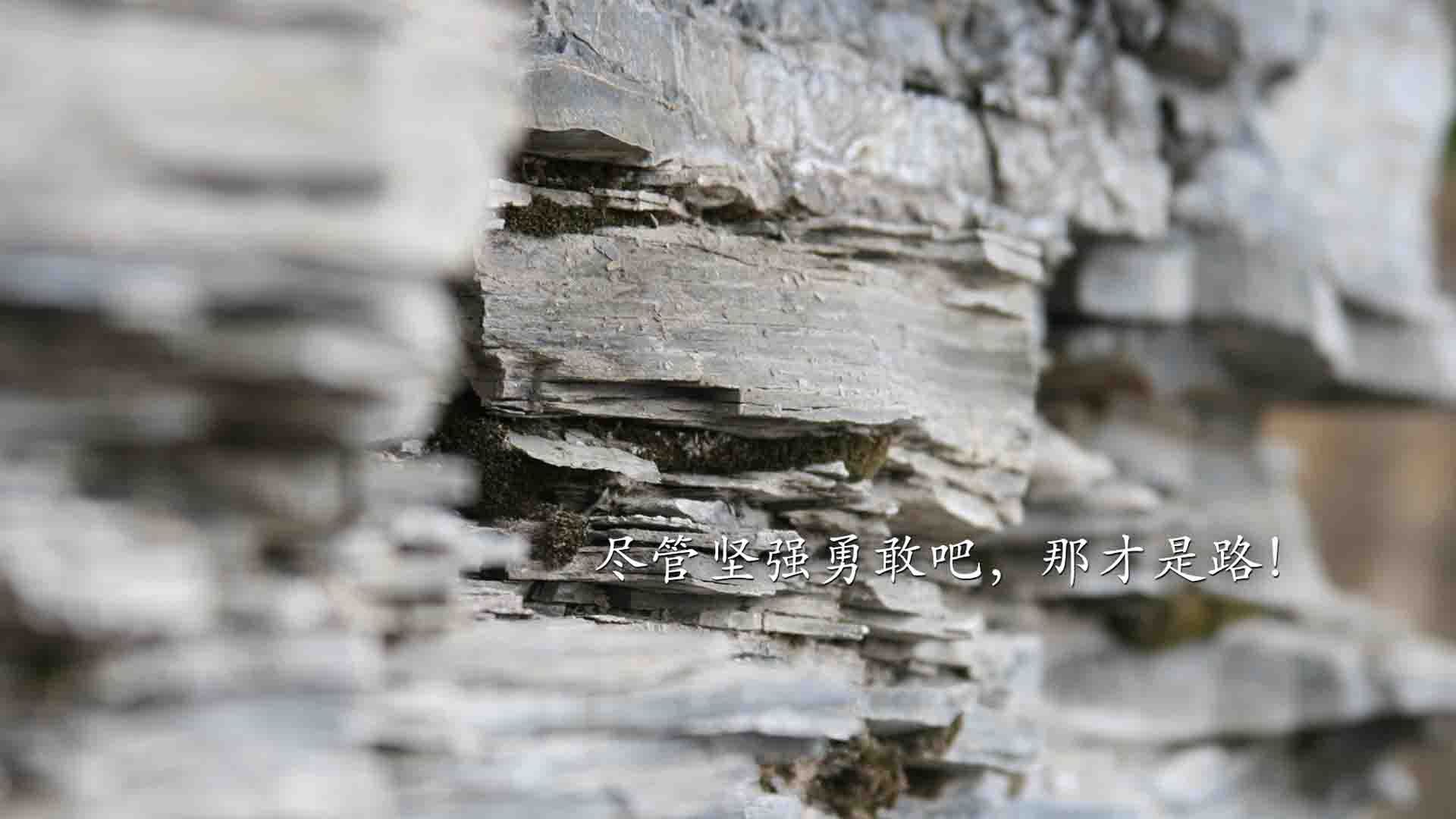 恩多比·恩乔：敏锐的判断力使他成为南非队最值得信赖的核心球员