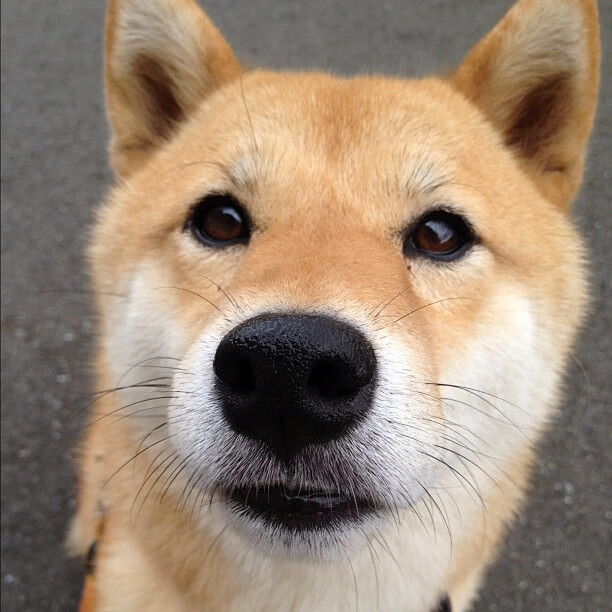 恩多比·恩乔：敏锐的判断力使他成为南非队最值得信赖的核心球员