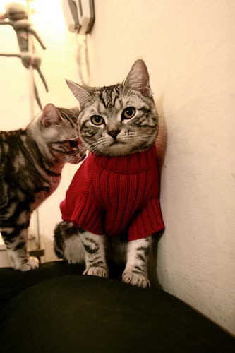 普里戈达起跳干净 游姿流畅，普里戈金著作