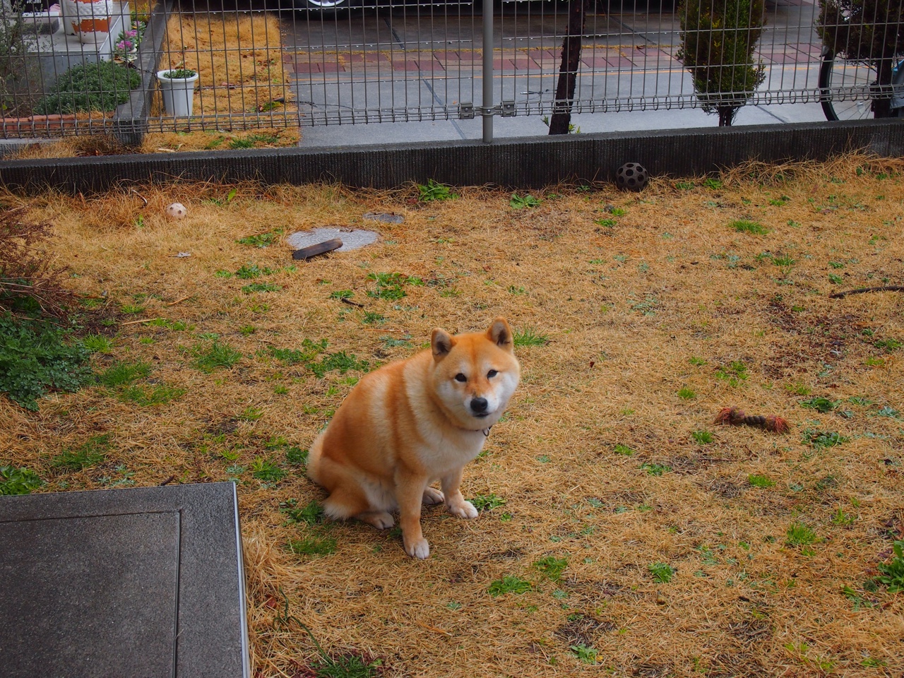 极限滑雪公开赛设置夜间赛道引发热议，极限滑雪大神
