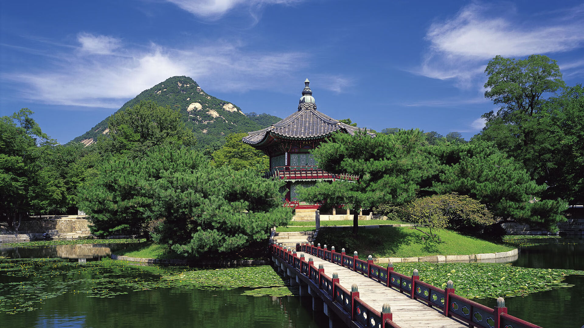 美洲杯激战正酣：精彩绝伦的攻防对决，z美洲杯