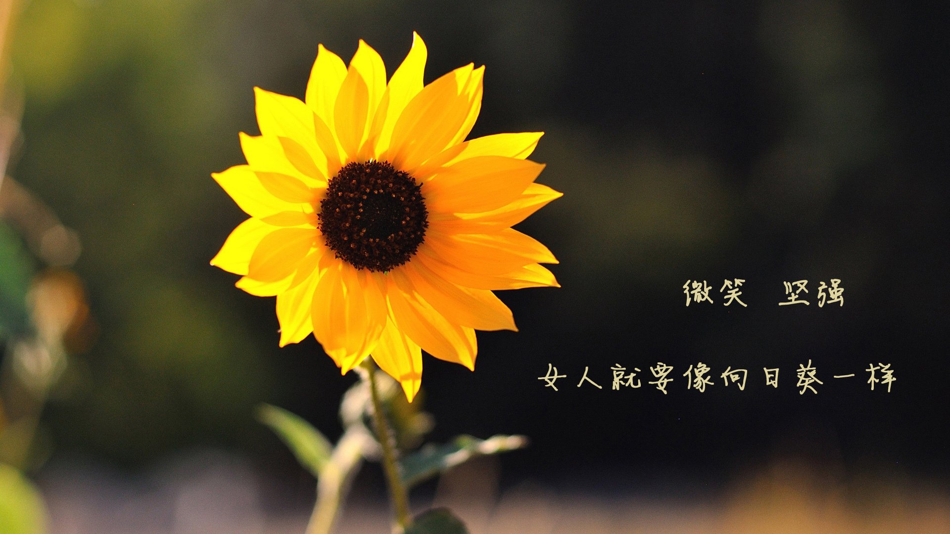 骑士球员训练后自发组织复盘会议，骑士队训练